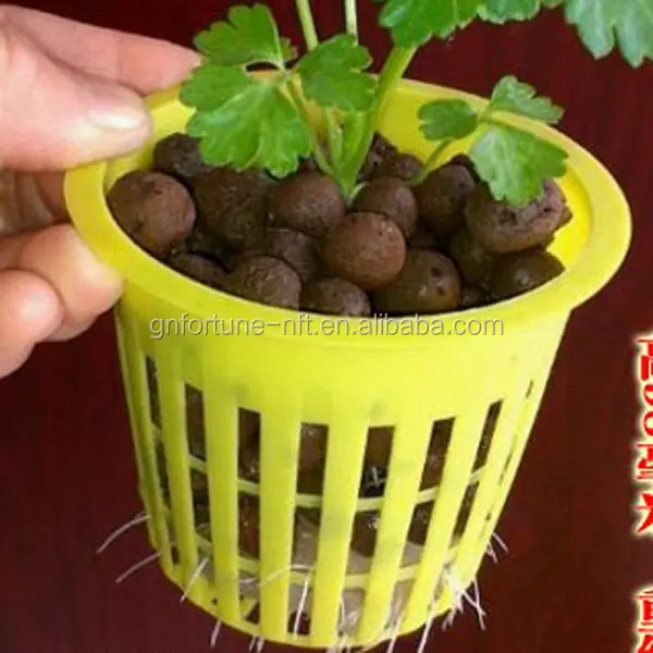 Discover Economical Plastic Flower Pots Wholesale: High - Quality, Factory - Direct, and Unmatched Supply Capacity