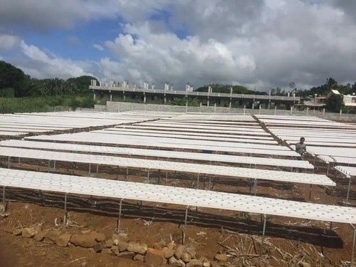 growing system
