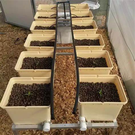 electroponics home growing system