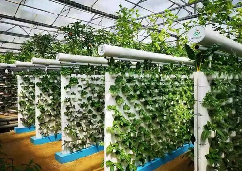 growing system