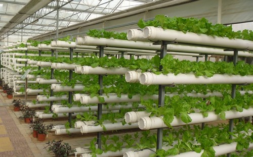 weed grow system