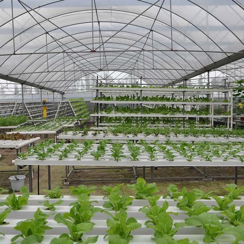 best indoor growing systems