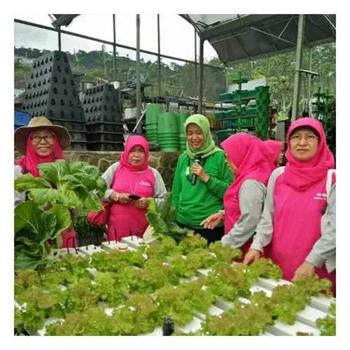 Polylaminate Structure Hydroponic Grow Rack hydroponics growing Vertical Indoor Farming With LED Light