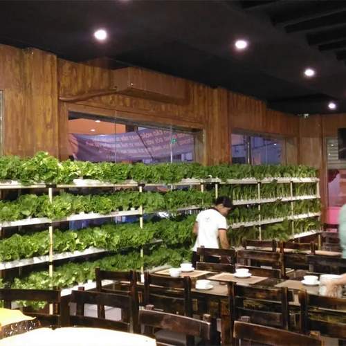 Polylaminate Structure Hydroponic Grow Rack hydroponics growing Vertical Indoor Farming With LED Light
