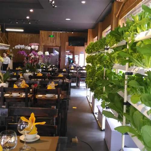Polylaminate Structure Hydroponic Grow Rack hydroponics growing Vertical Indoor Farming With LED Light