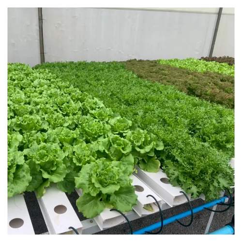 Polylaminate Structure Hydroponic Grow Rack hydroponics growing Vertical Indoor Farming With LED Light
