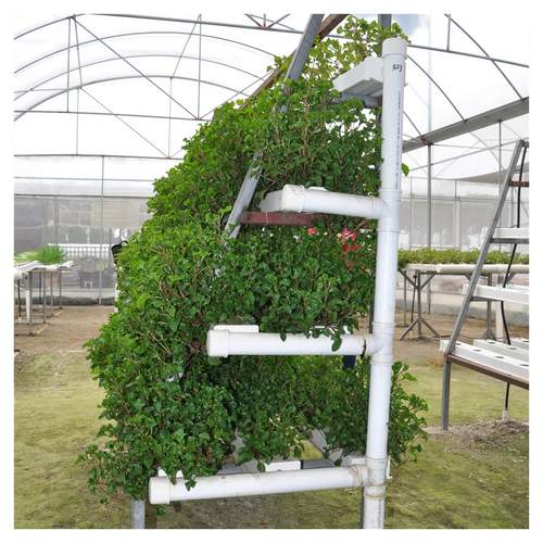 Hydroponics Nft System With Square Hole 50*50 Vertical Hydroponic Growing Systems Pvc Tube Plant Vegetable