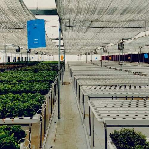 Hydroponics Nft System With Square Hole 50*50 Vertical Hydroponic Growing Systems Pvc Tube Plant Vegetable