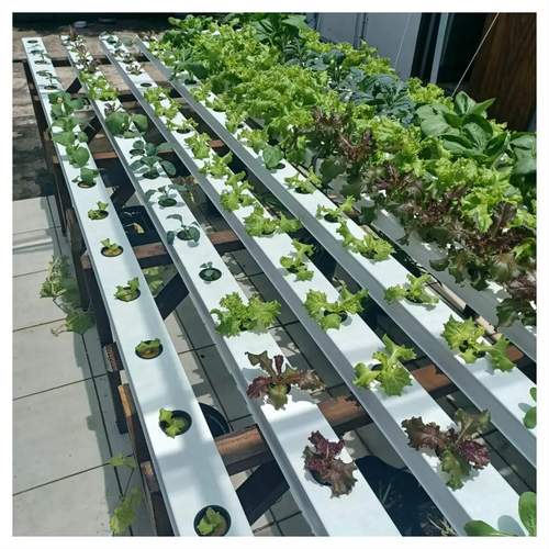 New Arrival Soil less Cultivation Hydroponics Growing Pipe Full Spectrum With Water Recycle System