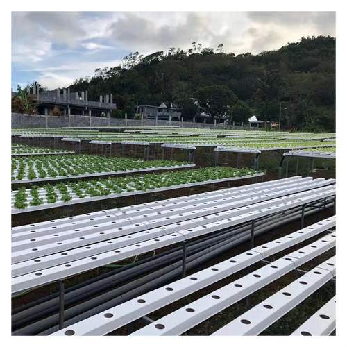 New Arrival Soil less Cultivation Hydroponics Growing Pipe Full Spectrum With Water Recycle System
