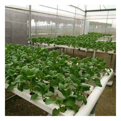 New Arrival Soil less Cultivation Hydroponics Growing Pipe Full Spectrum With Water Recycle System