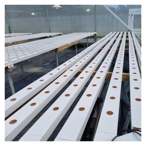 New Arrival Soil less Cultivation Hydroponics Growing Pipe Full Spectrum With Water Recycle System