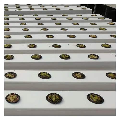 On Sale NFT hydroponic fodder channel greenhouse hydroponics system