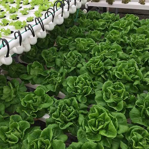 High quality vertical hydroponic nft system nft hydroponics aeroponics systems pvc channel for hydroponic