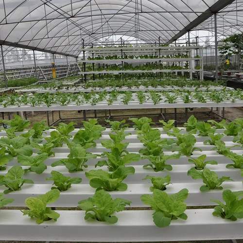 High quality vertical hydroponic nft system nft hydroponics aeroponics systems pvc channel for hydroponic