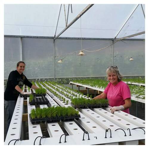 2022 Hydroponics Horizontal Grow System Growing Kit 6/8/10 Layers Plants Site NFT Growing system