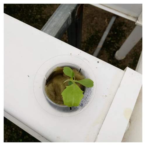 2022 Hydroponics Horizontal Grow System Growing Kit 6/8/10 Layers Plants Site NFT Growing system