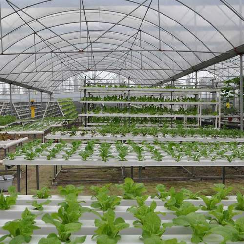 Best Sale Indoor Smart grow system Vertical Aquaponics Hydroponic System In Superfarm