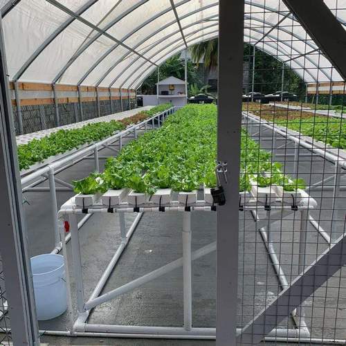 Small Home NFT Growing Set Growing Light Indoor Vertical Hydroponic plant Growing Systems For Sale