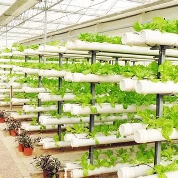 hydroponic grow system weed