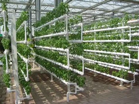 hydroponics growing system indoor garden