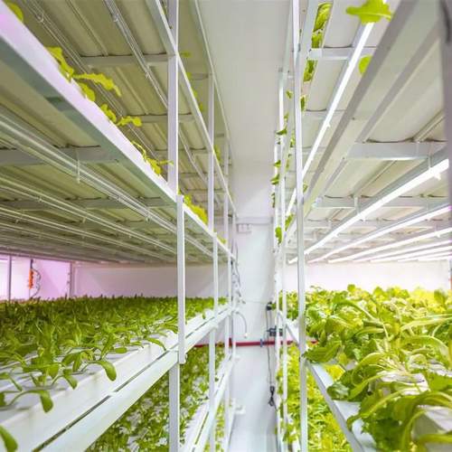 Nft Hydroponic Growing Systems Home agricultural greenhouses Vertical Garden Tower With Led Light