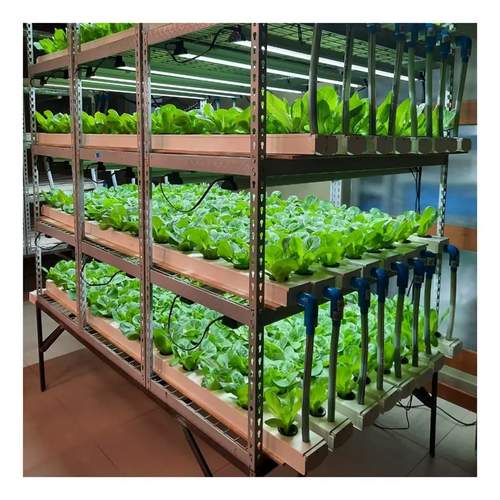Indoor Herb Garden Grow System hydroponic With Smart Timer Function For Home Kitchen farm system