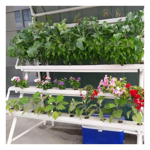 Indoor Herb Garden Grow System hydroponic With Smart Timer Function For Home Kitchen farm system