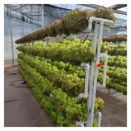 Unique Design NFT channel Professional For Commercial Farming Future Farming Hydroponics Equipment