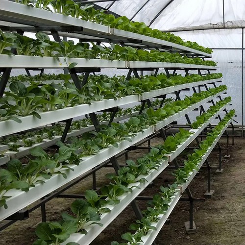 nft growing system