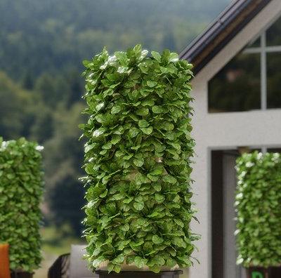 Space-Max Yields: G&N’s vertical grow systems Boost Hydro Output, Don’t They?