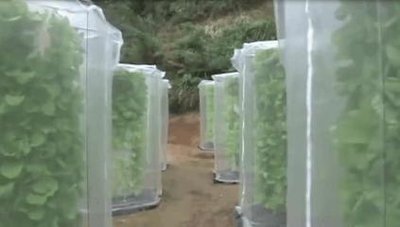 tower growing system