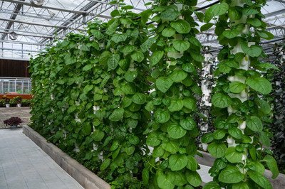 ventilation system grow tent