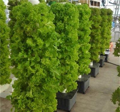 vertical grow systems