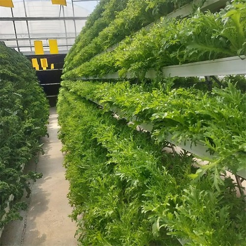 Outdoor Hydro Mastery: G&N’s outdoor hydroponics growing system Thrives in Open Air, Doesn’t It?