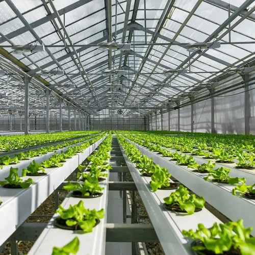 outdoor hydroponics growing system