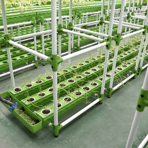Lettuce Grow Better: Isn’t G&N’s indoor lettuce growing system a Indoor Hydro Star?