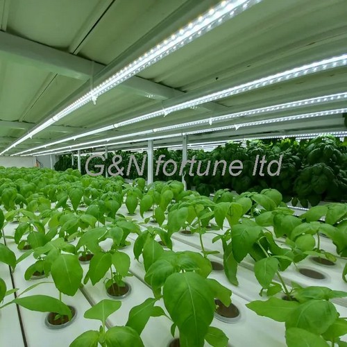 grow tent system