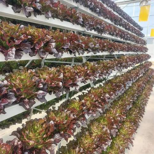 A Frame Hydroponic Growing Systems Quality NFT Channel Square Pipe Indoor agricultural greenhouses