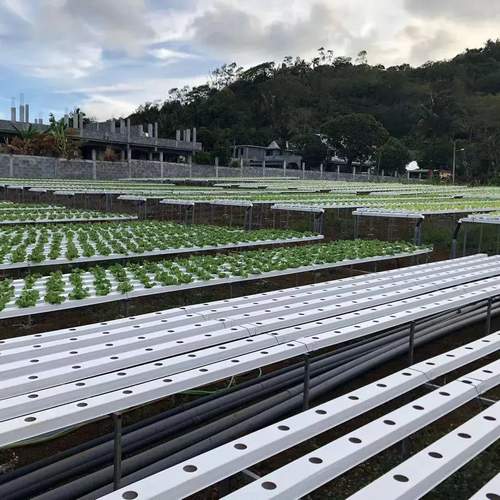 Agriculture A Shape Vertical Hydroponics Lettuce growing Hydroponics NFT channel for growing vegetables