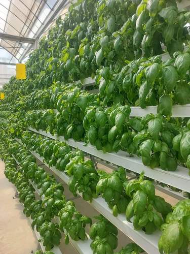 Vegetable Factory Hydroponics Grow Tent NFT Channel with Lighting Grow Tent Kits Leafy Vegetable