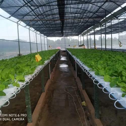 Vegetable Factory Hydroponics Grow Tent NFT Channel with Lighting Grow Tent Kits Leafy Vegetable