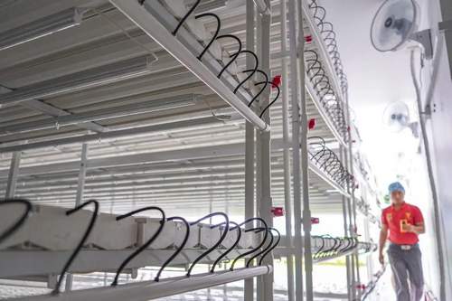 G&N New Design Most Saving Water and Nutrient 100*55mm NFT Channel Hydroponics Vegetable Factory