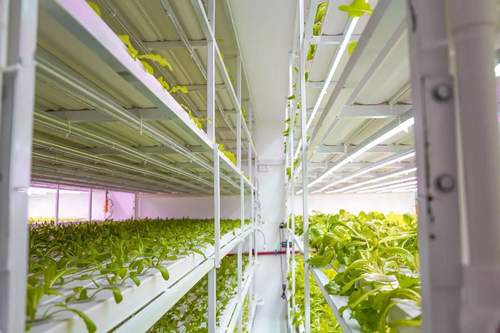 G&N New Design Most Saving Water and Nutrient 100*55mm NFT Channel Hydroponics Vegetable Factory