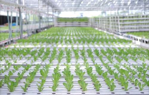 Hydroponics System Applicable Industries Farming Quality Best Price Horizontal Hydroponic Vegetable Growing Equipment