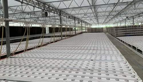 Hydroponics System Applicable Industries Farming Quality Best Price Horizontal Hydroponic Vegetable Growing Equipment