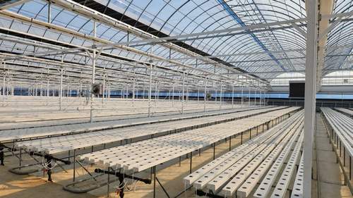 Agricultural greenhouses Net pot used for indoor garden hydroponic growing system aeroponie system