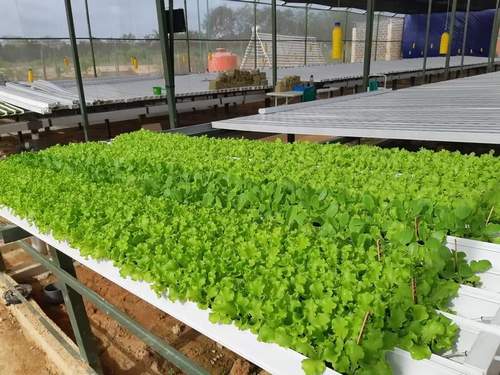 Hydroponic Channels Nft Gully Channels Custom Nft Channel Gully Hydroponic Nft