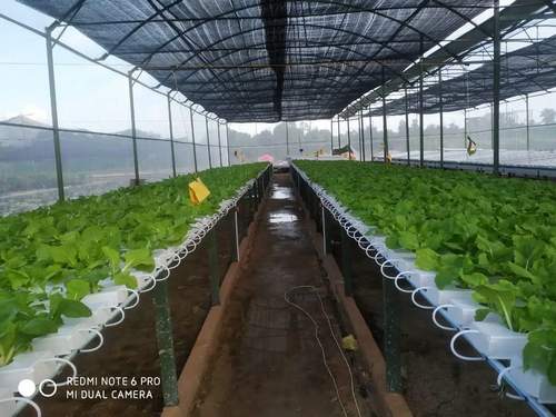 Hydroponic Channels Nft Gully Channels Custom Nft Channel Gully Hydroponic Nft