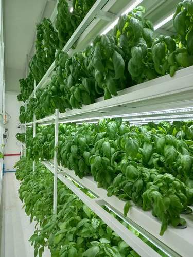 Aeroponics Indoor Nft Channel Hydroponic Growing Systems Small Nft Hydroponic System For House And Garden